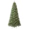 9ft. Pre-Lit Rothwell Fir Realistic Artificial Christmas Tree, Warm White LED Lights by Ashland®